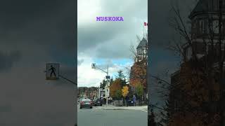 Muskoka downtown 🏘️🏡🏠 [upl. by Warram654]