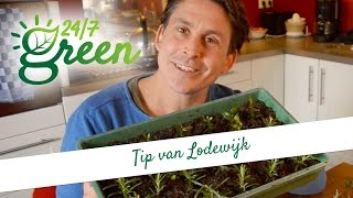 Tip van Lodewijk Stekken [upl. by Obrien866]