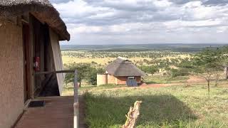 Room tour kubu kubu tented lodgeSerengeti national Park สำรวจห้องพักในคาบู คาบู เต้นท์ลอดล์ Africa [upl. by Vivl]