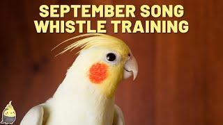 SEPTEMBER with WHISTLE  Bird Whistling Training  Cockatiel Singing Practice [upl. by Nivi]