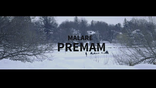 Malare  Premam  Instrumental by Flute Siva [upl. by Yelyr177]