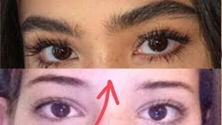 HOW TO GROW THICKER EYEBROWS  NATURALLY  FAST  My Secret Ingredient Tutorial [upl. by Hodgkinson615]