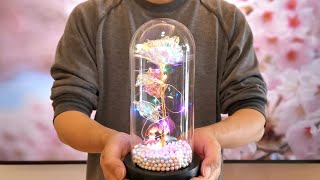 Galaxy Enchanted Rose in Glass Dome Review 2022  Beauty and the Beast Rose [upl. by Aneelahs]