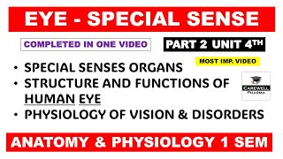 Structure And Functions Of Eye  Human Eye  Special Senses  Part 2 Unit 4  Hap 1st semester [upl. by Aiekat190]