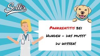 Bauchspeicheldrüsenentzündung bei Hunden  Symptome amp Behandlung [upl. by Hoem844]