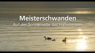 Imagefilm Gemeinde Meisterschwanden [upl. by Susana639]