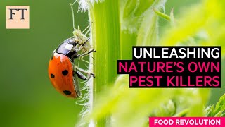 Fighting agricultural pests the natural way  FT Food Revolution [upl. by Ihsorih644]