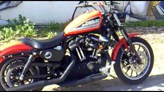 Harley Davidson Sportster 883 R SampS [upl. by Kylstra]