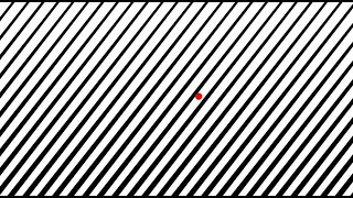 Optokinetic Training  Skewed Stripes and Dot Moving Randomly [upl. by Assened]