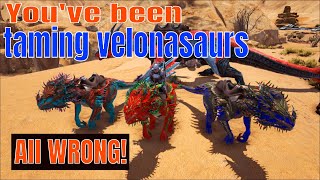 Velonasaur taming the easy way SOLO [upl. by Egief]