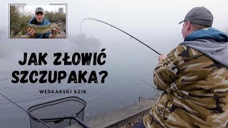 Szczupaki w MGLISTY poranek Jak zlowic szczupaka [upl. by Isadora]