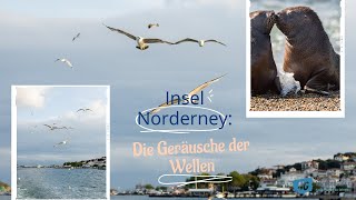 Die Geräusche der Wellen an der Küste der Nordsee Insel Norderney [upl. by Jovitah]