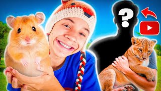 Revelei os Pets dos YOUTUBERS Famosos [upl. by Lednar369]