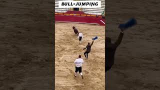 Madrid Bull Leaping 🔥💯💯 [upl. by Larue339]