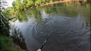 Muskie Fishing in Brevard North Carolina Part One [upl. by Nivram]