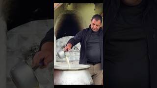 My new amazing experience was making cheese from the milk of a camel  New Milk Recipe milkrecipe [upl. by Anital]