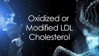 E21 Oxidized or Modified LDL Cholesterol [upl. by Aciria998]