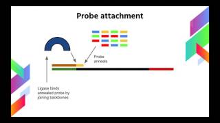 Next Gen SOLiD DNA Sequencing Method Explained [upl. by Garvin282]