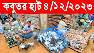 কবুতর হাট ৪১২২০২৩  kobutor hat 2023  pigeon market in bangladesh  saroliya kobutor hat [upl. by Gelman]