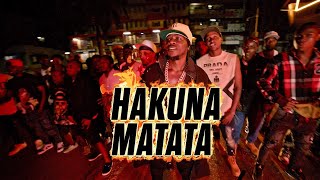 Hakuna Matata  Alien skin official Music video [upl. by Novad]