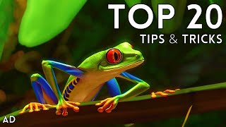 Top 20 Tips amp Tricks in Planet Zoo [upl. by Roath]