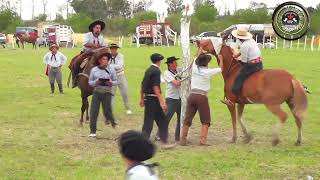 🇦🇷Broche de oro  Hasenkamp  Festival de ABRIENDO TRANQUERAS [upl. by Cerelia]