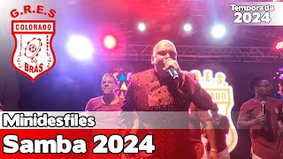 Colorado do Brás 2024 ao vivo com letra  Lançamento dos sambas da Liga SP LIGASP24 [upl. by Aratahc]