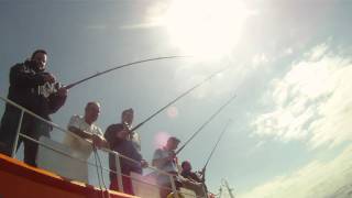 novice fishing whitby sea urchin [upl. by Joycelin]