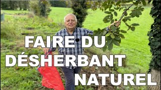 FABRIQUER son DESHERBANT  feuilles de noyer 🌱 100 ÉCOLOGIQUE [upl. by Thorfinn423]