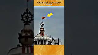 🤯 Ancient Rituals in Puri Jagannath Temple [upl. by Eniladam]