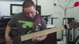 La Bella White Nylon Bass Strings Demo [upl. by Hatty68]