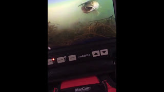 Marcum 485c underwater ice fishing camera [upl. by Ssirk649]