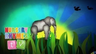 ELEPHANTS HAVE WRINKLES  New Nursery Rhymes  English Songs For Kids  Nursery Rhymes TV [upl. by Rabelais747]