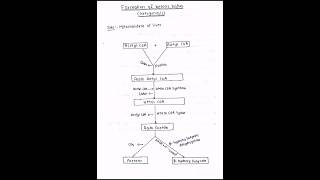 Formation and utilization of ketone bodies ketogenesis ketolysis biochemistry bpharmacy mbbs [upl. by Kristine]