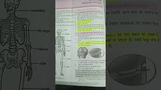 Skeletal system 📚 biology skeletalsystem shorts [upl. by Juliann]