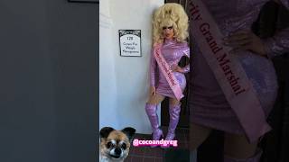 EAT UP TRIXIE trixieandkatya trixiemattel katyazamolodchikova unhhhh dragrace shorts live [upl. by Pasol409]