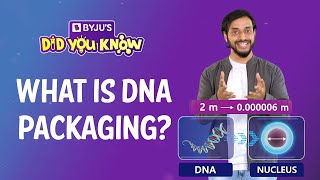 What Is DNA Packaging Shorts KeepLearning [upl. by Ijan]