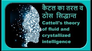 कैटेल का तरल व ठोस सिद्धान्त Cattells theory of fluid and crystallized intelligence [upl. by Redmund]