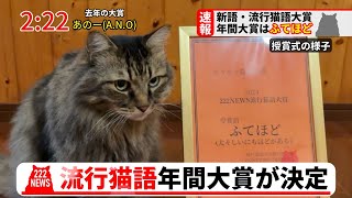 【速報】2024年の新語・流行猫語大賞が決定しました [upl. by Prudy844]