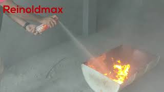 REINOLDMAX FIRE EXTINGUISHER  TORTURE TEST [upl. by Clemente]