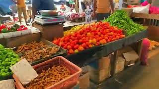 A Day in Pettah  Colombos Bustling Bazaar [upl. by Senskell]