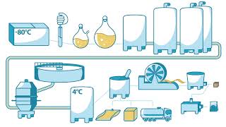 How Yeast is Made  Lesaffre [upl. by Winton]