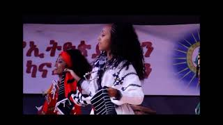 Gonder Gojam Amhara dance performance [upl. by Ebehp53]