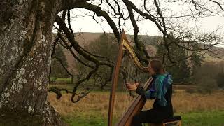 Harriet Earis  Rhos Pasture Restoration Project [upl. by Hose676]