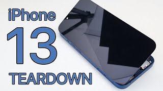 iPhone 13 Teardown  Full Disassembly [upl. by Assital308]