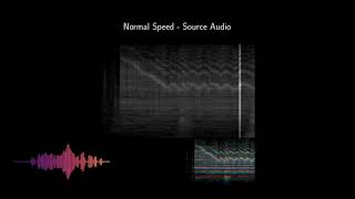 TimbreTron A WaveNetCycleGANCQTAudio Pipeline for Musical Timbre Transfer [upl. by Ytsirhc]