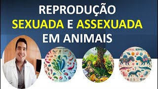 VANTAGENS E DESVANTAGENS COMPARADAS ENTRE A REPRODUÇÃO SEXUADA E A REPRODUÇÃO ASSEXUADA EM ANIMAIS [upl. by Denzil]