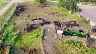 Day In The Life Of A South Dakota Rancher [upl. by Clemente]