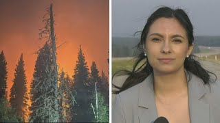 Jasper evacuees frantically flee in the dark from wildfires threat [upl. by Dranoc]