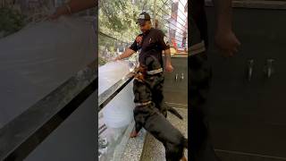 Rottweilers Ne Aaj Dikha Di Apni Asli Taakat shorts rottweiler dogs youtubeshorts namitaology [upl. by Burroughs106]